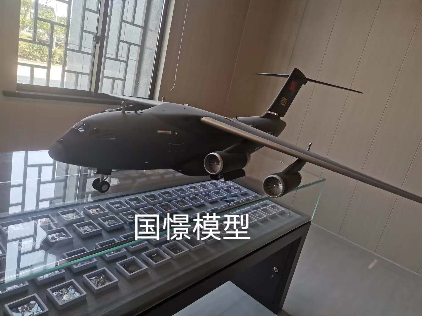 枝江市飞机模型